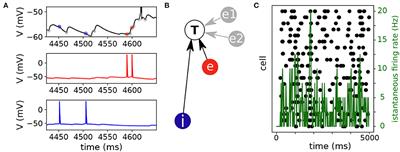 A multi-class logistic regression algorithm to reliably infer network connectivity from cell membrane potentials